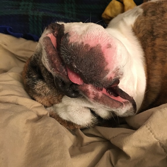 Meet your Posher, Kara - Picture 3 of 5